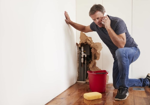 Online Reviews of Home Inspectors